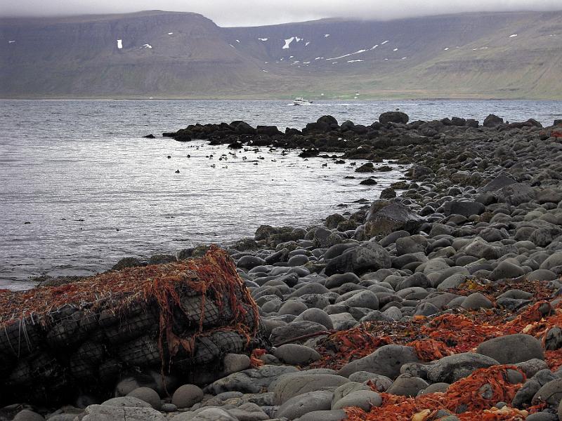 DSCN0768-e.jpg - Báturinn kemur