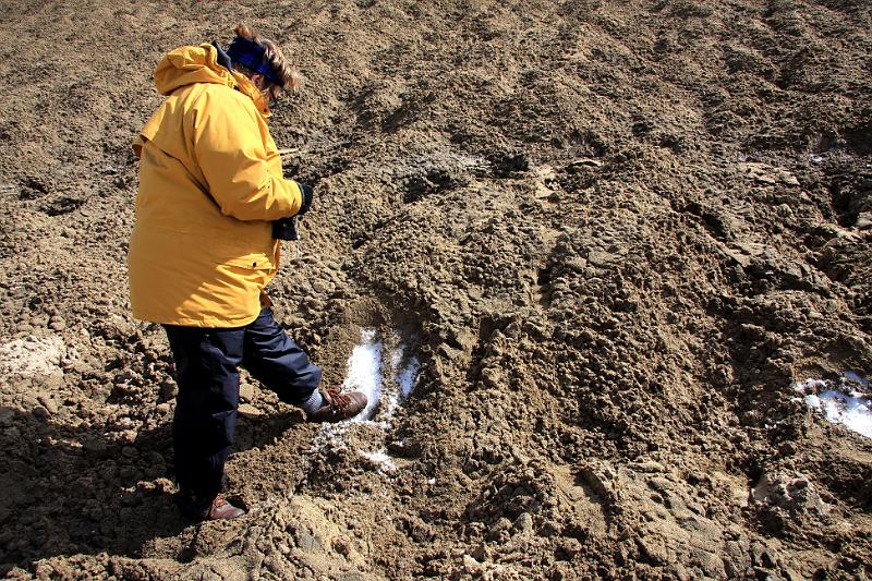 IMG_8038-e.jpg - Ís undir sandinum sem ekki bráðnar. Ísgeymsla sjómanna til forna