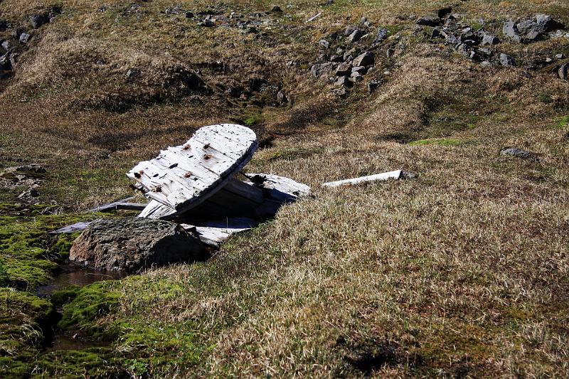 IMG_8167-e.jpg - Leyfar af kaplakefli í Öldudal sem við gengum niður í Rekavíkina