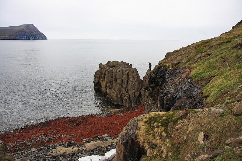 IMG_8253-e.jpg - Gaui