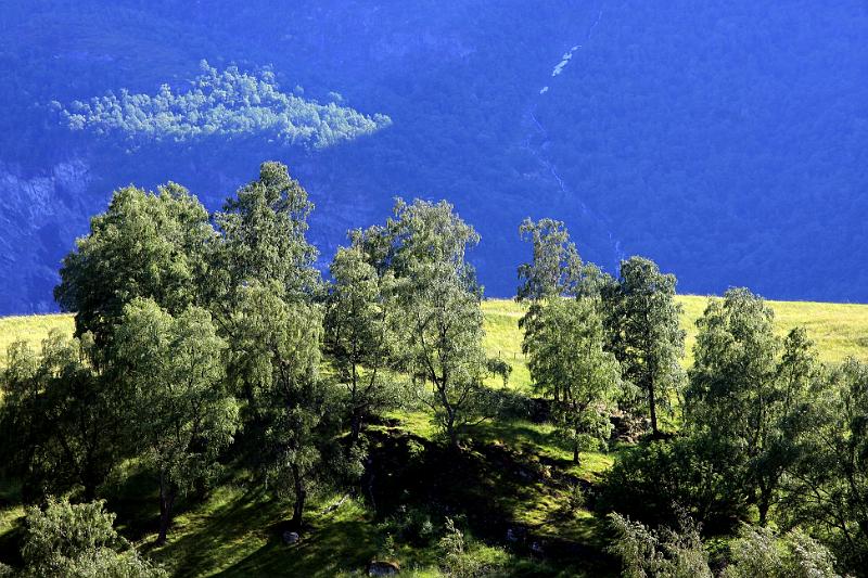 IMG_8531-e.jpg - Flåm