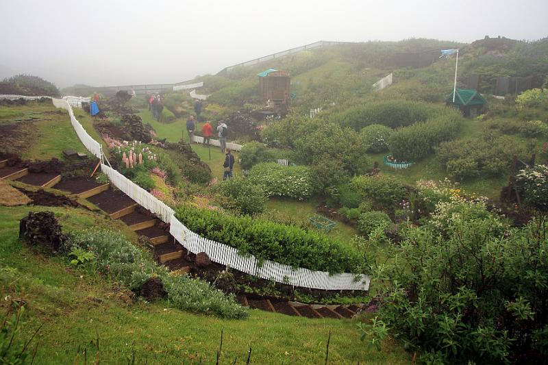 IMG_8935-e.jpg - Gaujulundur - an oasis in the midst of the lava field created during the eruption in 1973