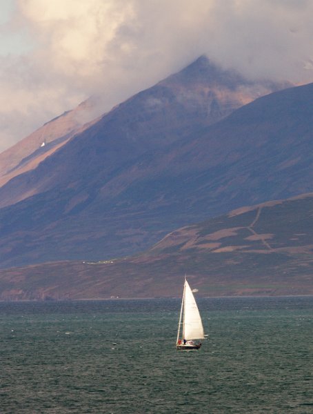 IMG_14222-e.jpg - Sailin on the Eyjafjordur