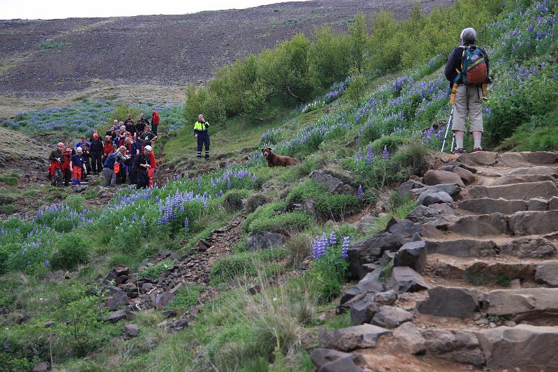 IMG_7694.JPG - Sums staðar var stígurinn illur yfirferðar, sérstaklega í tröppunum og á kom sér vel að hafa nógan mannskap til skiptanna.