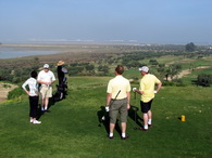 Flamingo v&ouml;llurinn