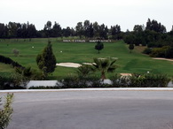 Citrus sv&aelig;&eth;i&eth;