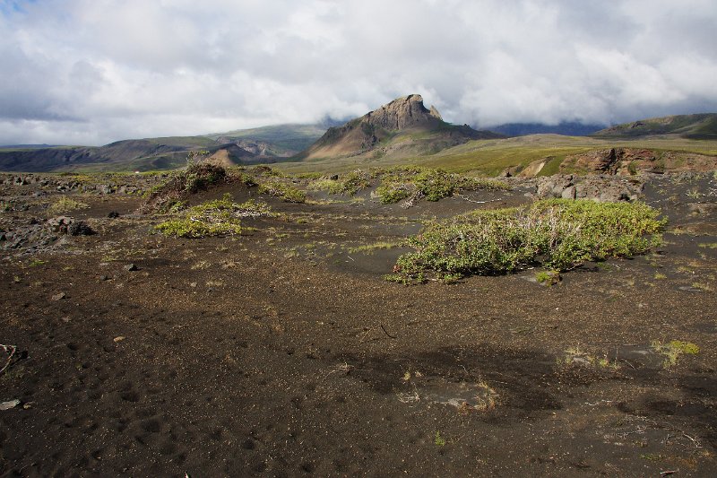 IMG_14548-e.jpg - Einhyrningur