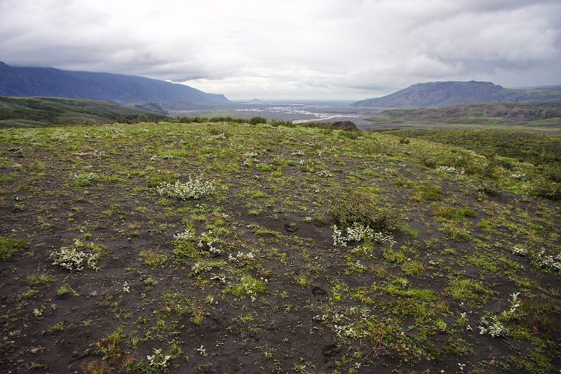 IMG_14575-e.jpg - Séð niður Markarfljótsaura