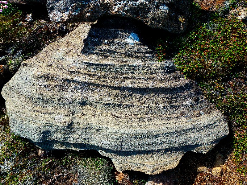 P1010997-e.JPG - Fallega mótaður steinn