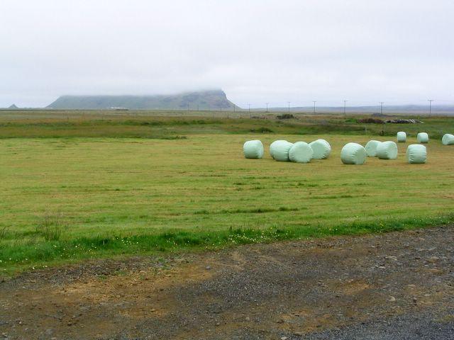 154_5408.jpg - Pétursey í þokunni