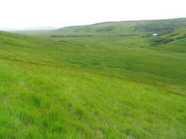 154_5439.jpg - Komið niður í Stóradal