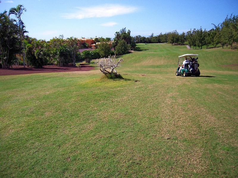 081-e.jpg - Það var þarna tré á miðri braut sem auðvitað var að ergja okkur dálítið