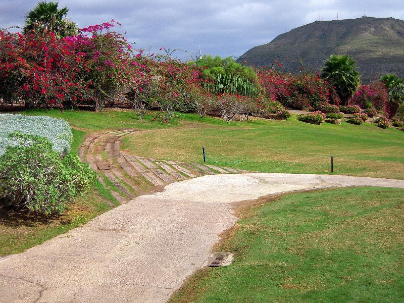 082-e.jpg - Fallegur gróður á golfvellinum