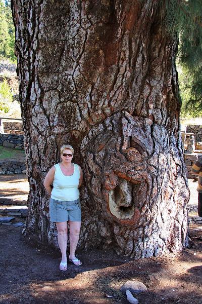 IMG_10948-e.jpg - Þetta er myndarlegur stofn!