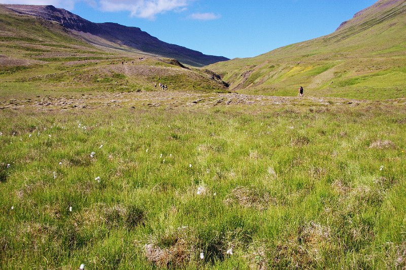 IMG_13606-e.jpg - Áfram var haldið upp með Grundará - fífumói í forgrunn