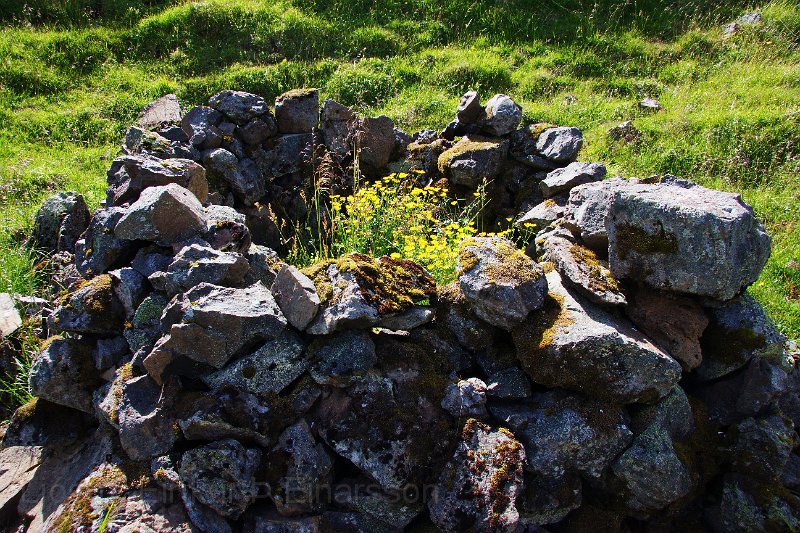 IMG_13625-e.jpg - Gróin hleðsla