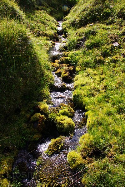 IMG_13635-e.jpg - Lækjarspræna á leiðinni