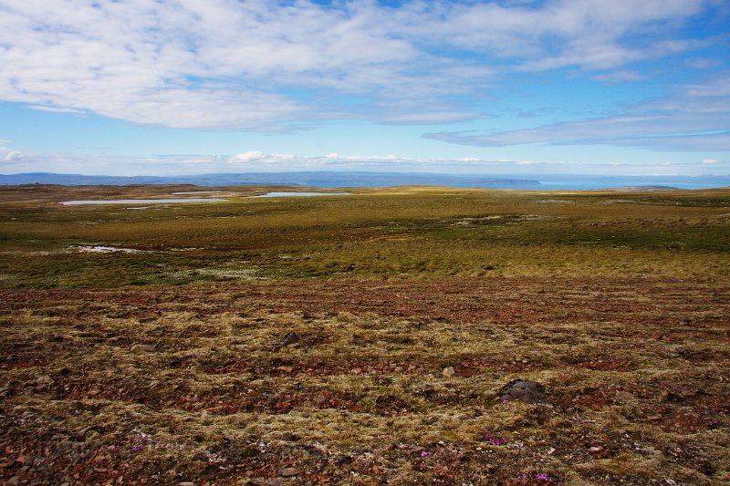 IMG_13664-e.jpg - Fjalagilshæðir - útsýni yfir á Strandir