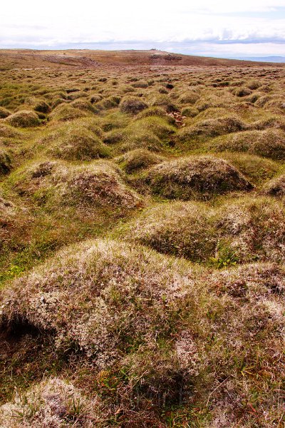 IMG_13668-e.jpg - Móinn