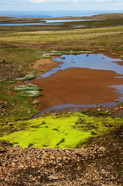 IMG_13670-e.jpg - Á Fjalagilshæðum