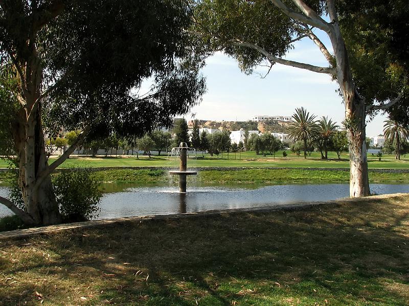 IMG_7194-e.jpg - Sea völlurinn í Kantaoui