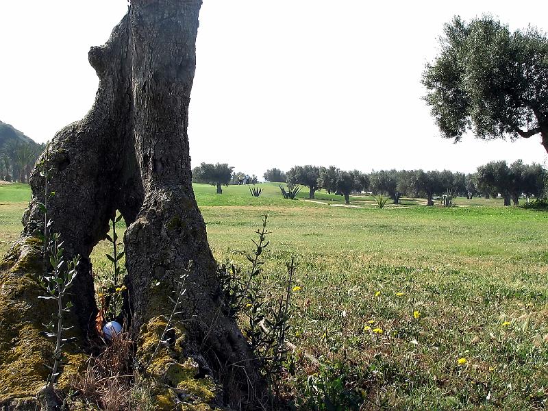 IMG_7247-e.jpg - Maður gat lent í erfiðri aðstöðu!!