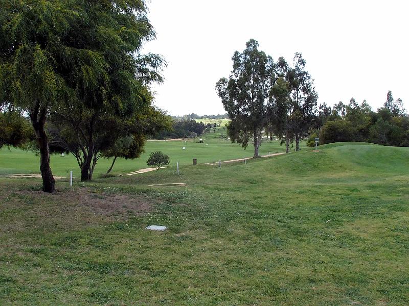 IMG_7301-e.jpg - Á La Forêt